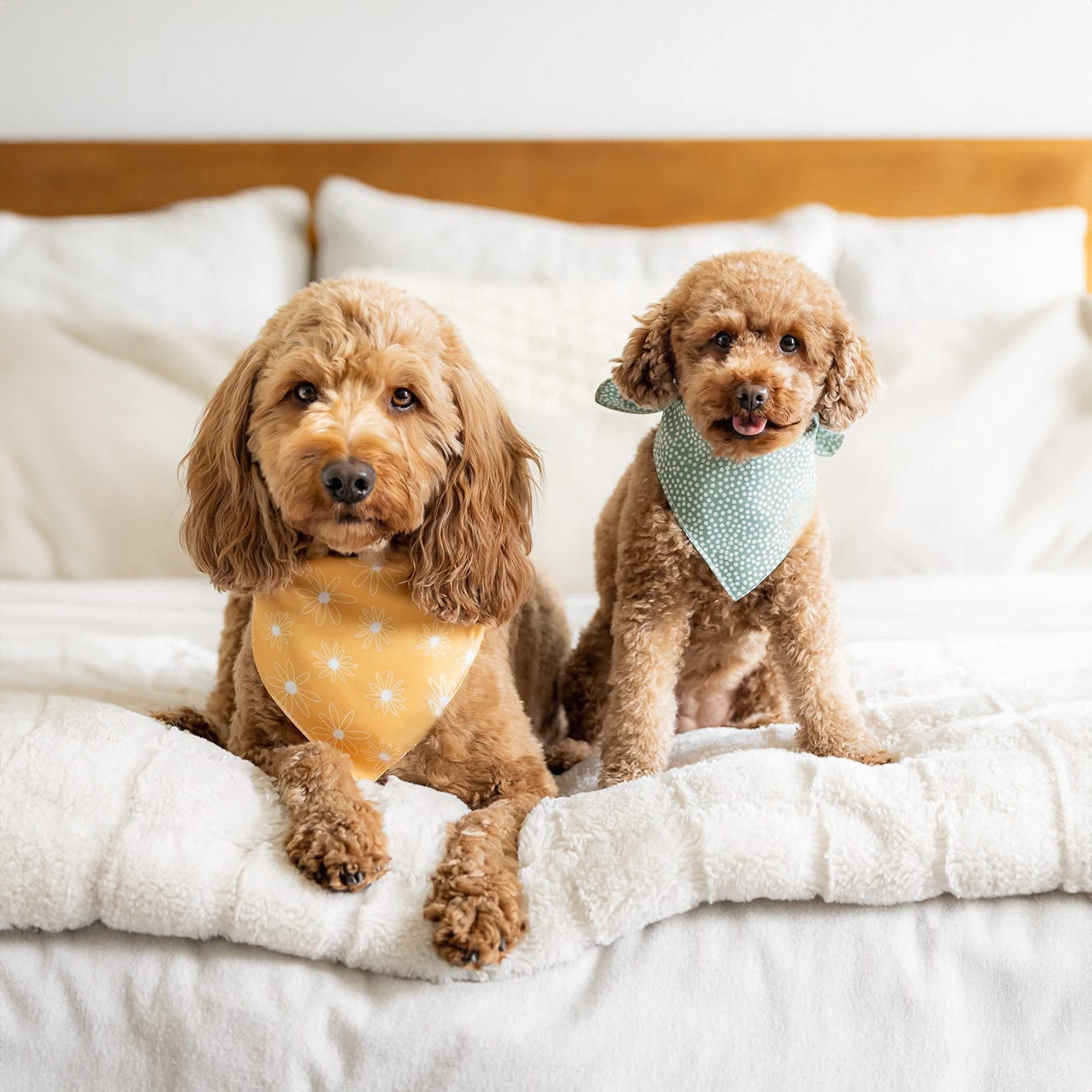Reversible Polyester Pet Bandana for Dogs, Multiple Patterns and Sizes