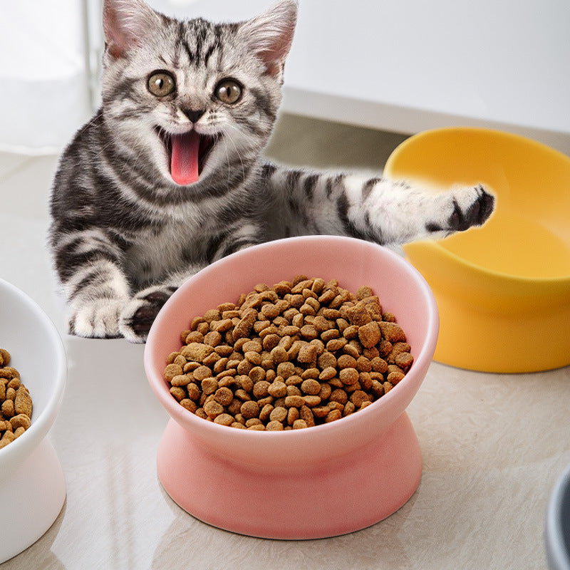 Slanted-mouthed high-legged pet food bowl